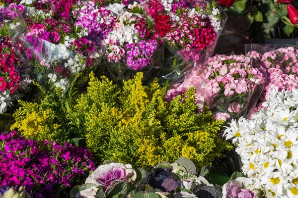 Belas flores como um fundo — Fotografia de Stock