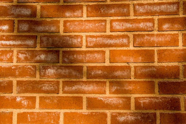 Old grunge brick wall background — Stock Photo, Image