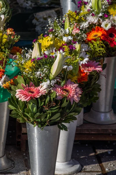 Květináč s krásnými květinami v něm — Stock fotografie