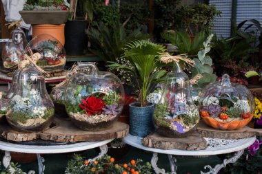 Dekoratif amaçlı sahte çiçek