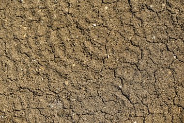 arka plan doku olarak kağıt yüzeyi 