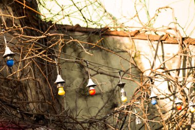 sabit bir yerinde asılı ampuller