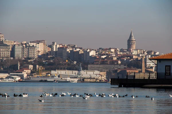 Veduta della Torre di Galata dal Corno d'Oro — Foto Stock