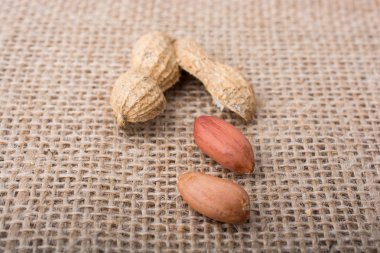 Kırık açık fıstık kabuğu keten bir tuval üzerine 