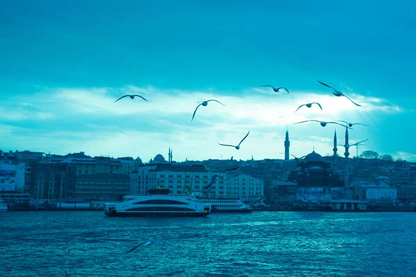 Gaviotas volando en el cielo en Estambul — Foto de Stock