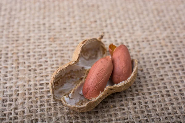 Kırık açık fıstık kabuğu keten bir tuval üzerine 