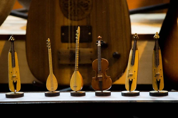 Набір моделей дерев'яних музичних інструментів — стокове фото
