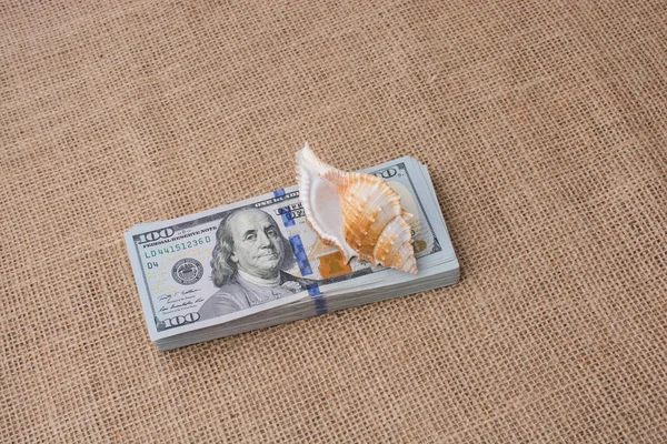 껍질에 우리 달러 지폐를 확산 — 스톡 사진