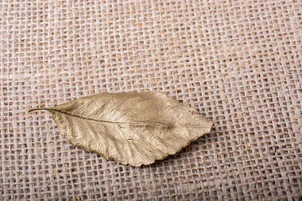Folha seca sobre fundo de lona marrom — Fotografia de Stock