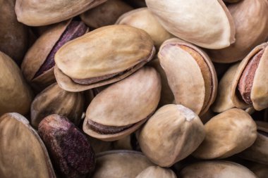 Fıstık kabuğu yemeye hazır