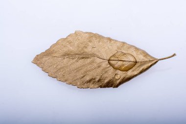 Su, bir altın rengi boyalı yaprak düşer