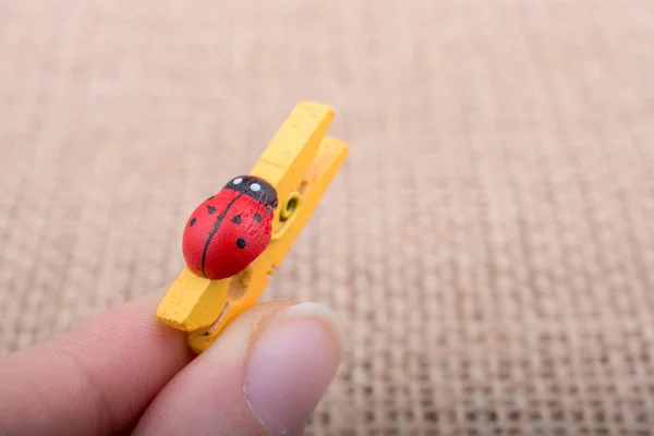 Icona della coccinella attaccata alla molletta — Foto Stock