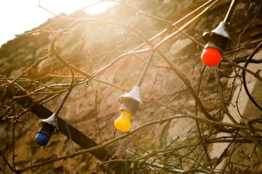 sabit bir yerinde asılı ampuller