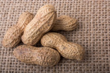 Fıstık kabuğu üzerinde bir keten ile arka plan bez