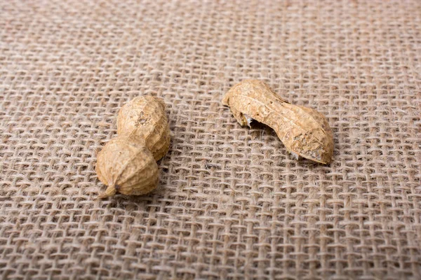 Amendoins em uma concha em um fundo de lona de linho — Fotografia de Stock