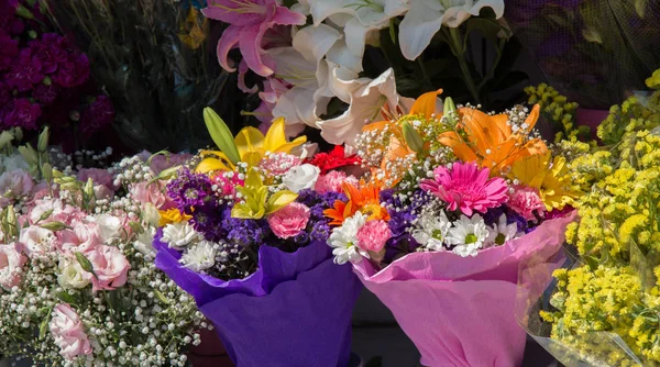 Vackra Blommor Olika Typer Blomma Vas — Stockfoto