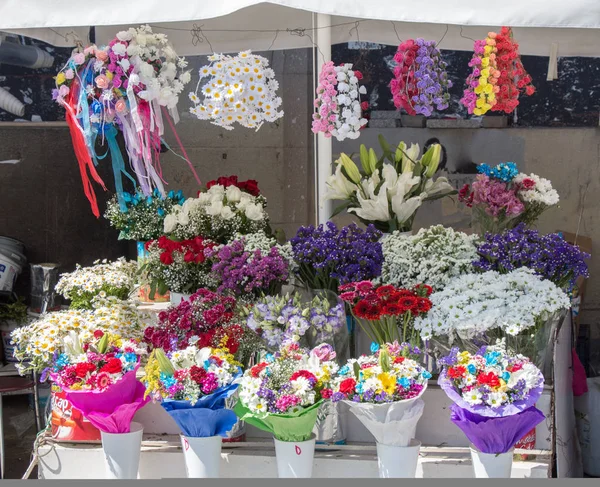 Härliga blommor av olika typer — Stockfoto