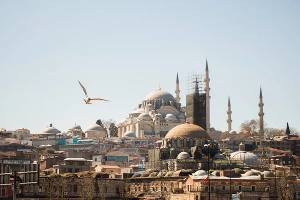 Turecký styl mešita v Istanbulu — Stock fotografie