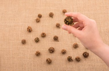 El tutma pod veya kapsül