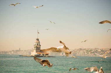 Martı bir kız Kulesi ile gökyüzünde