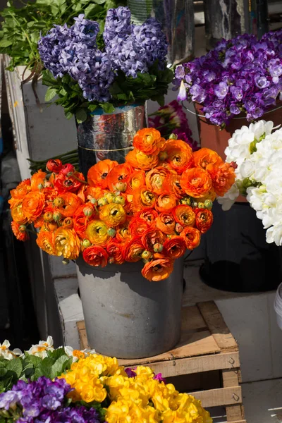 Flores florecientes de colores en jarrón —  Fotos de Stock
