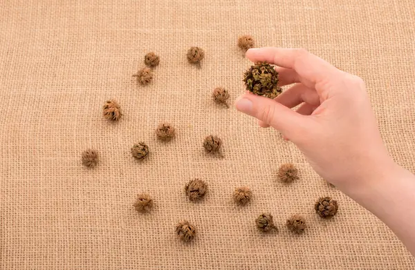 El tutma pod veya kapsül