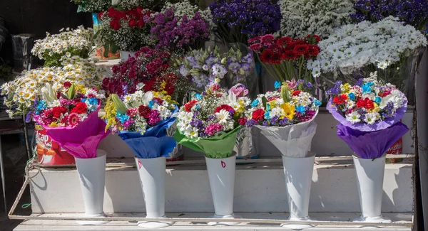 Lindas flores de vários tipos — Fotografia de Stock