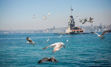 Martı bir kız Kulesi ile gökyüzünde
