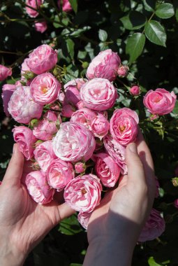 Elindeki güzel taze güller