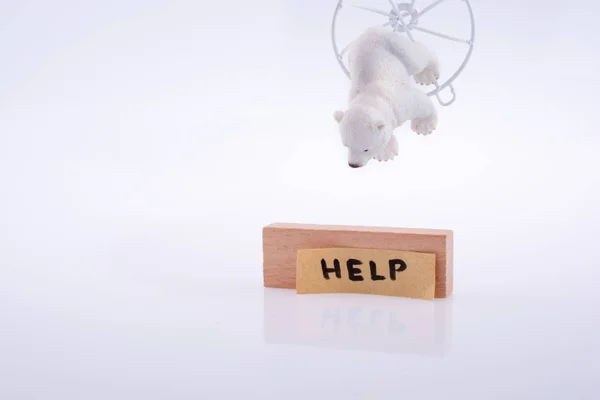 Niedźwiedź polarny prosi o pomoc — Zdjęcie stockowe