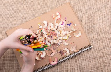 Bir defter kalem talaş ile üzerinde renkli kalemler tutan el