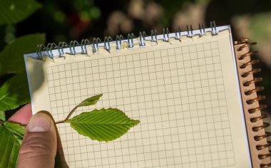 Eline bir defter sayfası bırakır