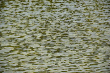 Belirli bir doku kalıbına sahip arka plan