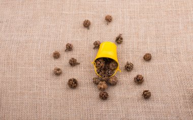 Kahverengi pod, kapsül ve tuval üzerine mini Kepçe çevresinde