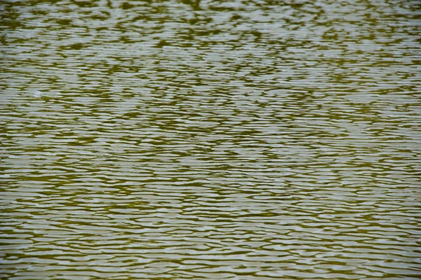 Belirli bir doku kalıbına sahip arka plan