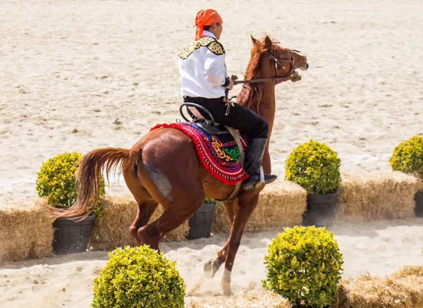 Etnik giysilerini ata binme Süvari  