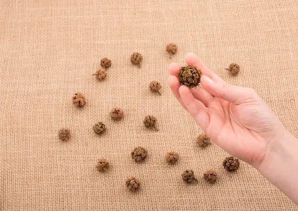 El ele tutuşan kapsül ya da kapsül tuval arka planında