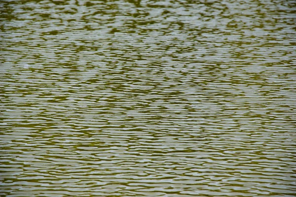 Su arka plan belirli doku desenli