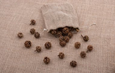 Bitki kapsülleri, çuvaldan çıkan kapsüller.