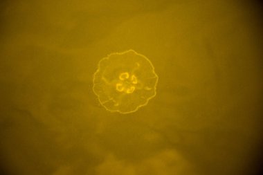 Belirli bir doku kalıbına sahip arka plan