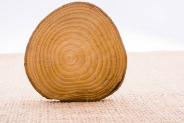 Ahşap dokusu arka planı için kullanılan küçük bir tahta parçası