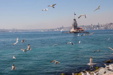Martılar ve genç kızları Kulesi Istanbul'da