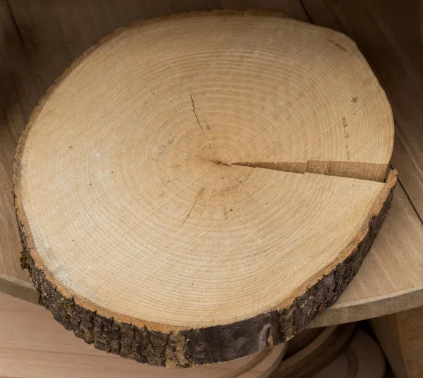 small piece of cut wood logs used for  wood texture background