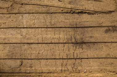 Arka plan olarak ahşap plunks