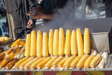 Mısır koçanı çekirdekler üzerinde soyulmuş