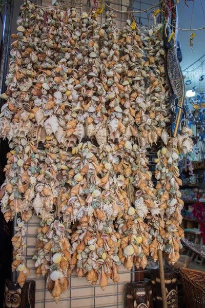 Various types of little seashells attached on a net