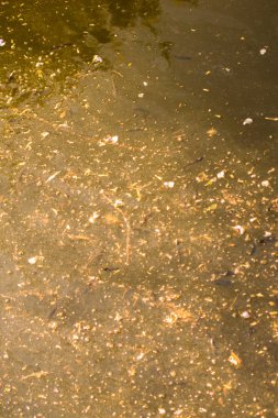 Su arka plan belirli doku desenli