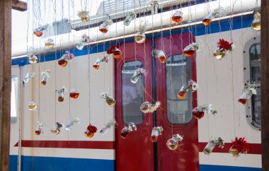 Dizeleri asılı bitkisel çay şişe