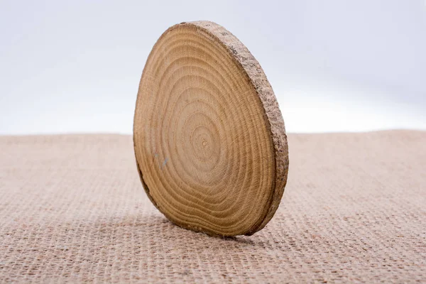 Piccolo pezzo di tronco di legno tagliato — Foto Stock