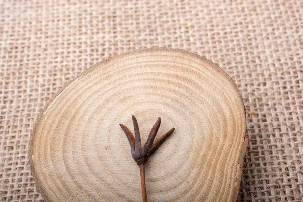 Ahşap arka plan üzerinde bulunan çiçek yaprakları